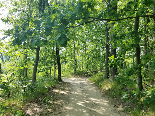 Pine View Golf Club - Thumbnail