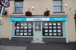 Bagleys Sales and Property Management Ltd