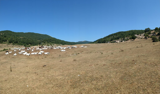 Casette di Cottanello - Thumbnail
