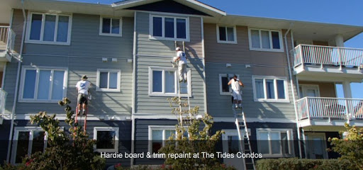 Best Choice Painting Ltd