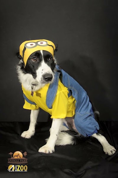 Photos of Animal Park Veterinary Center