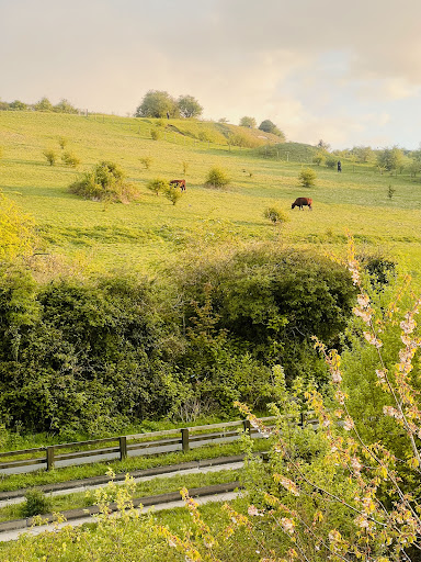 Blow's Downs - Visual