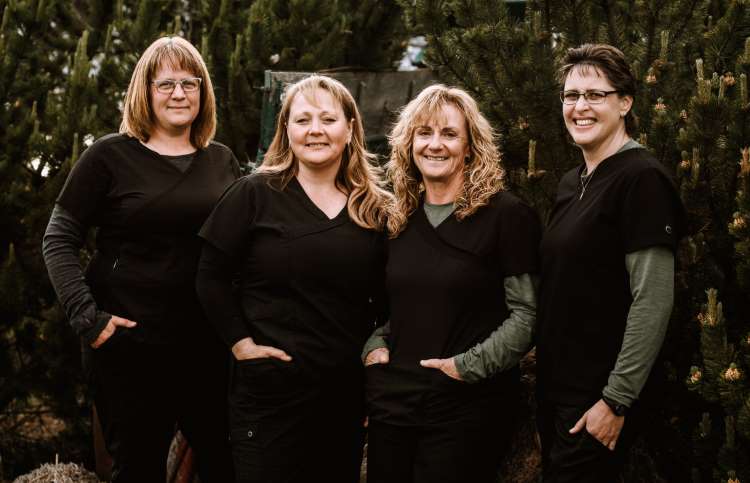 MorEnergy Veterinary Services