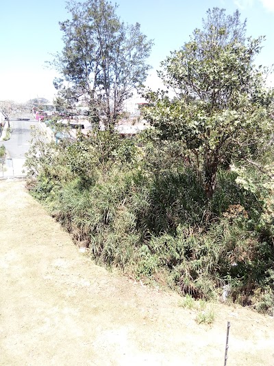 park
