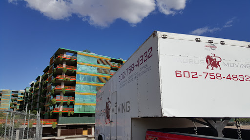 Taurus Moving Gallery - United States