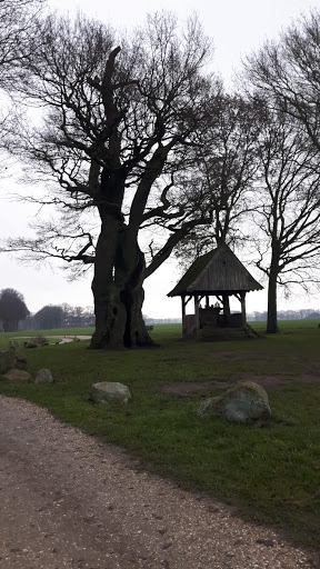 De Bosrand Twente