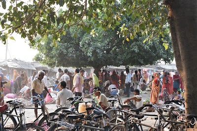 Photos of Sri Marichimaneshwar Mahadev Mandir