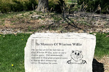 Wiarton Willie Statue, Wiarton, Canada