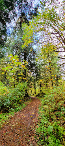 Gary Patrick Trail - Visual