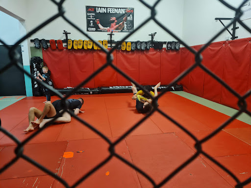 Fu Dog Martial Arts