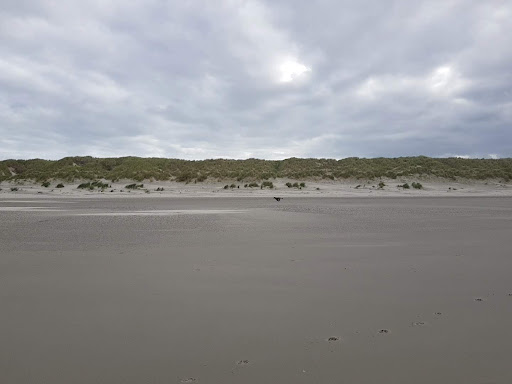 Hollum, Sier aan Zee - Thumbnail