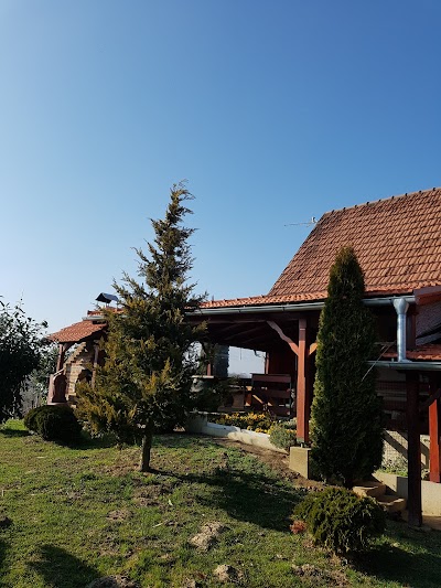 Photos of Apartment Dika