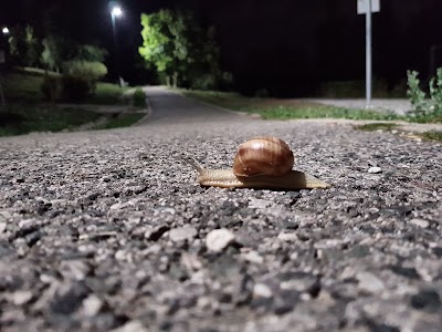 Photos of Park Betanija