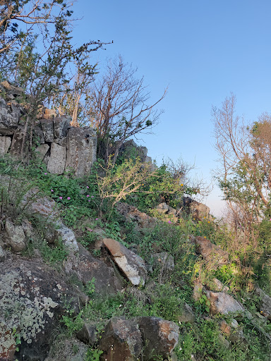 Cerro de Burgos