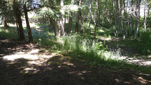 Wagner Creek Park - Thumbnail