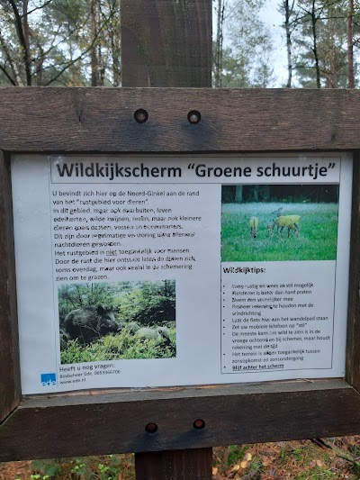 Wildkijkscherm "Groene schuurtje"