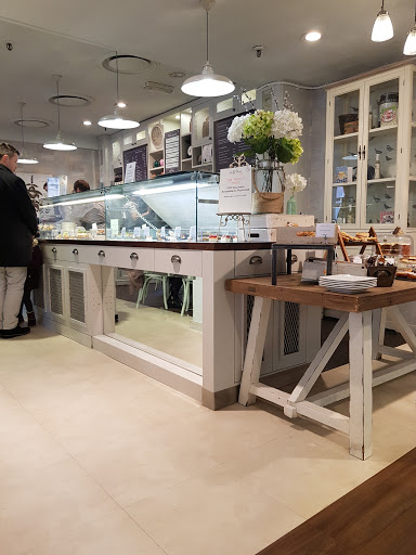 Wild Mint Cafe - Visual