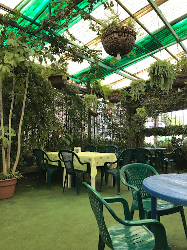Restaurant Jardín Adelita