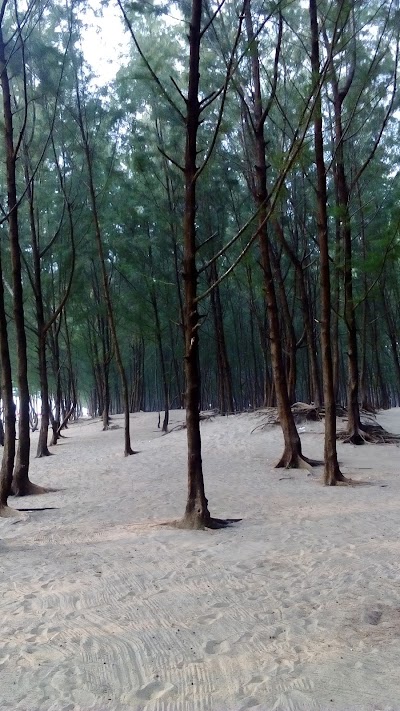 Photos of Cox'sBazar