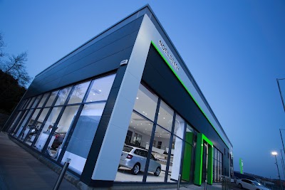 car-dealer