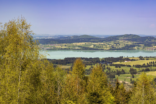 Buchenberg Alm - Thumbnail