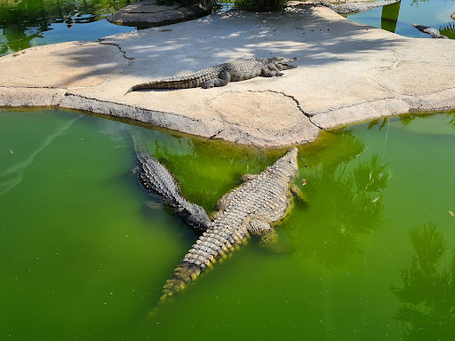 Aqualand Torremolinos - Thumbnail