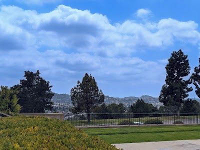 Photos of Forest Lawn