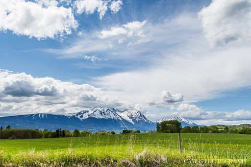 Jantina Hamelink - - Real Estate Smithers