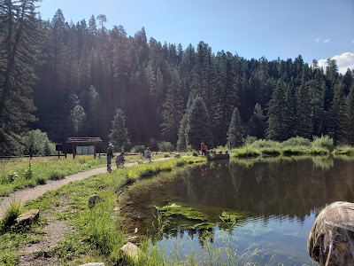 Cowles Ponds Fishing Site