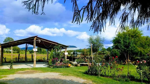 site_photo3