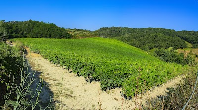 Cantine Dastoli