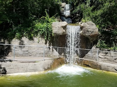Photos of John Ball Zoo