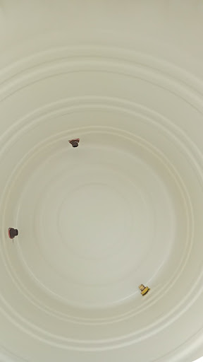 Gallery image 11