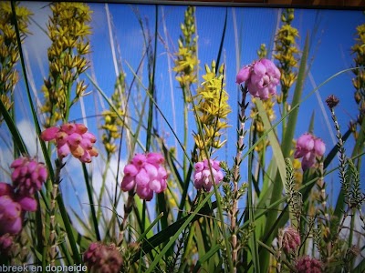 Photos of Bezoekerscentrum Dwingelderveld