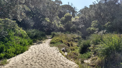 Kirby's Beach carpark and access - Thumbnail