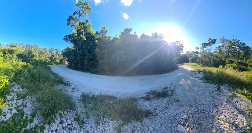 Lotes habitacionales y comerciales "pajaros