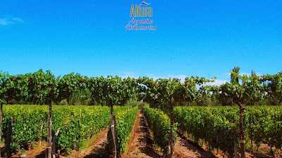 Photos of Argentina Tourism & Wine | Height
