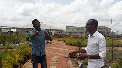 Photos of Wolkite University