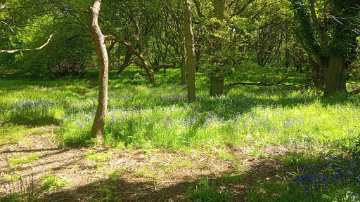 Honing Hideaway C&CC 5cs Gallery - United Kingdom