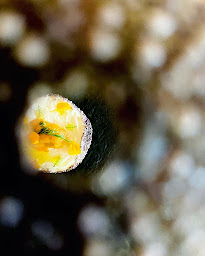 Photo n°15 de Fragrance - Cheffe Privée - Manon Fouchard à Rennes (Service de cuisinier à domicile)