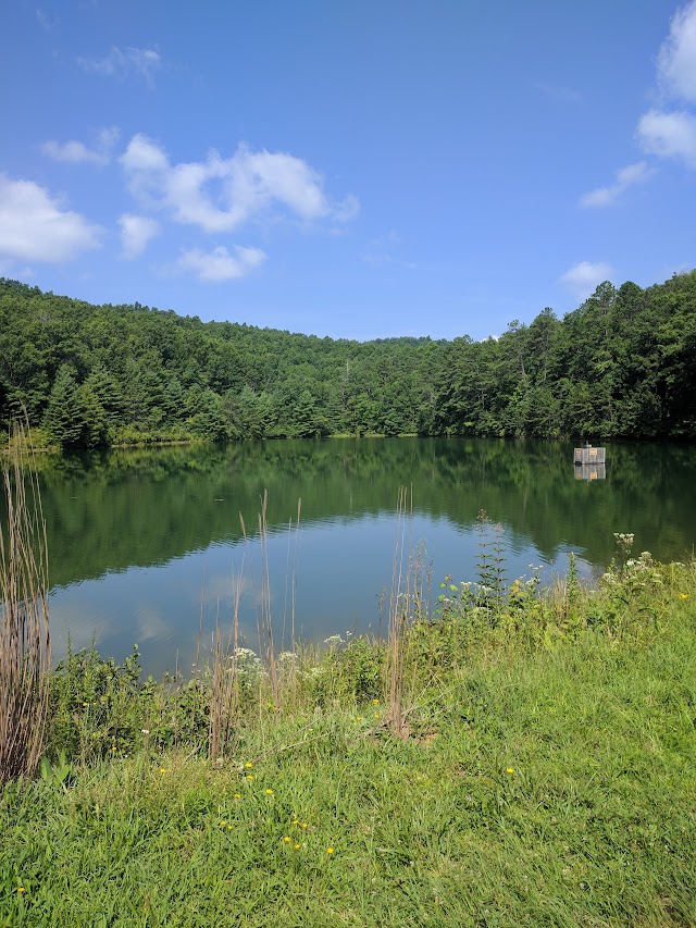 Dupont State Forest