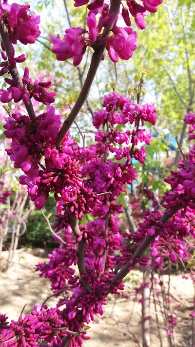 Photos of Ghazal Park