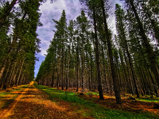 Chalk's Campground - Thumbnail