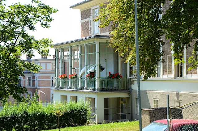 Steinhofgründe