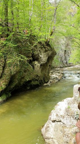 Bigăr Spring - Agenție de turism