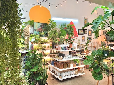 Urban Plant Shop