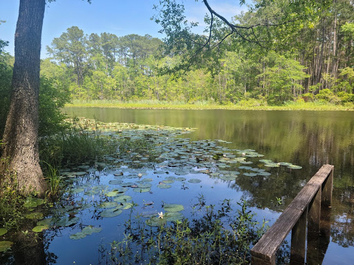 Lake Moultrie Passage Trailhead