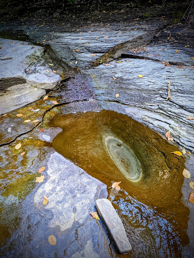 Botsford Nature Preserve Gallery - United States