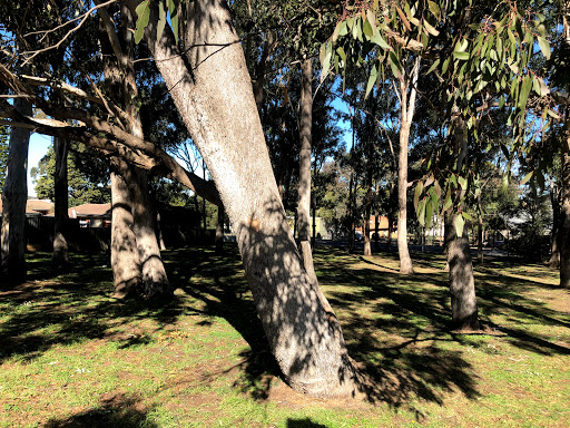 Sturt Reserve