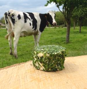 Fromagerie Etoile de la colline - Thumbnail